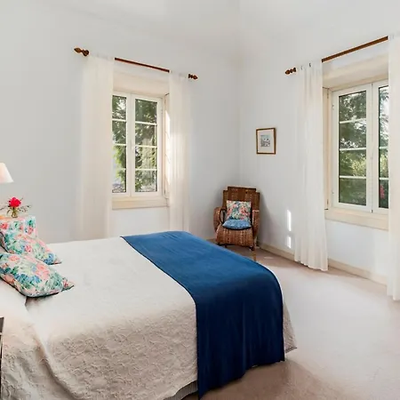 Villa Ourmadeira - Quinta D'alegria